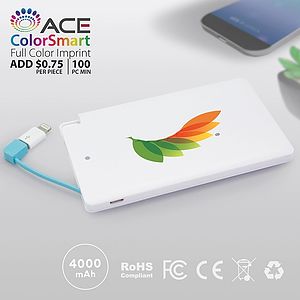 Dartmouth - 4000 mAh SLIM PORTABLE POWER BANK WITH CABLE