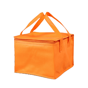 Non-Woven Insulation Bag