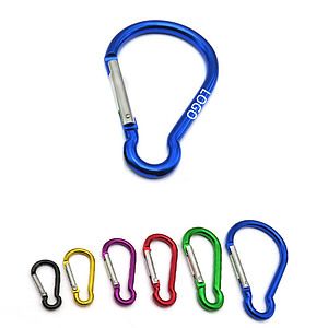 Carabiner Key Chain(2 38 W x 3 1516 H)