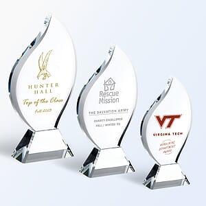 Torch Crystal Award