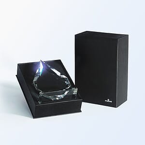 Torch Crystal Award