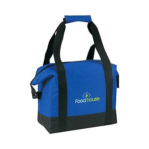 Insulated Picnic Cooler Tote Bag