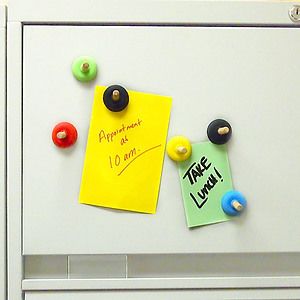 Toilet Plunger Novelty Magnet