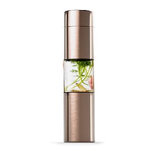 Asobu 16 Oz. Flavour U See Fruit Infuser Bottle