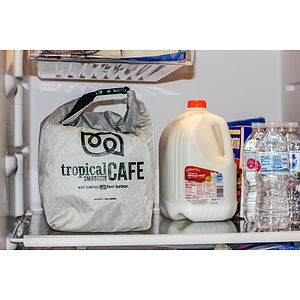 Otaria™ Lunch Bag