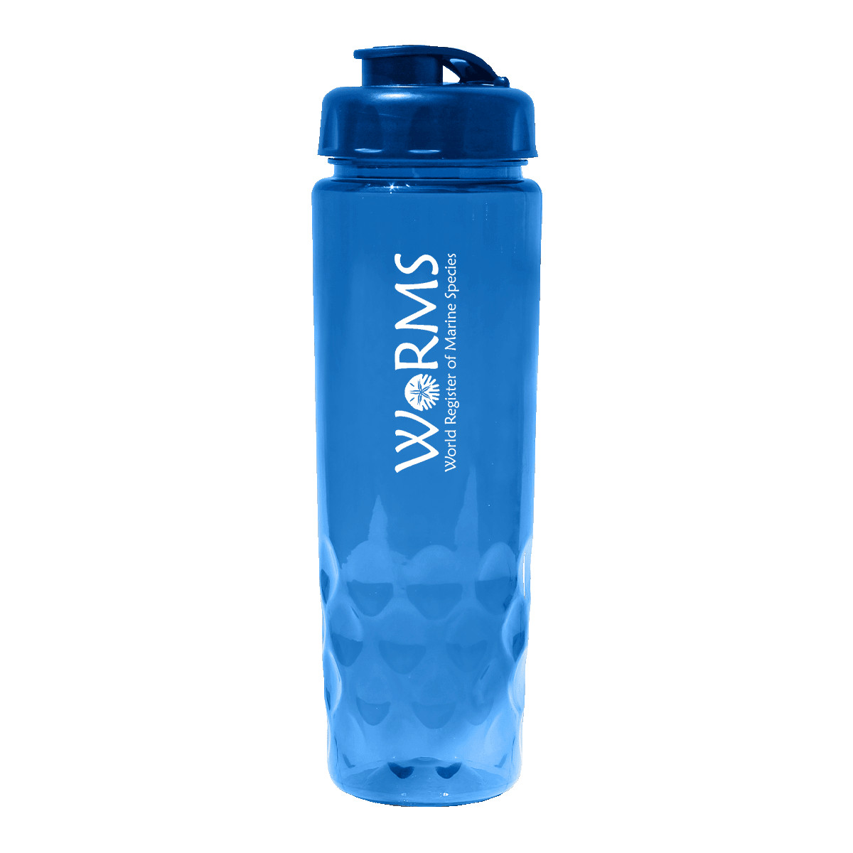 RECYCLED PET - 24 oz. Bottle with Flip Top Cap
