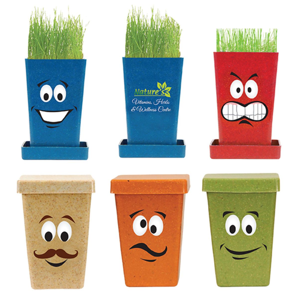 Promotional Expression planter, 1pack planter, full color digital