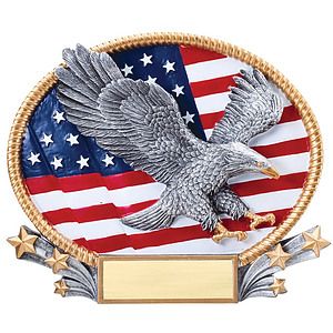 Large Eagle 3D Oval Resin Awards