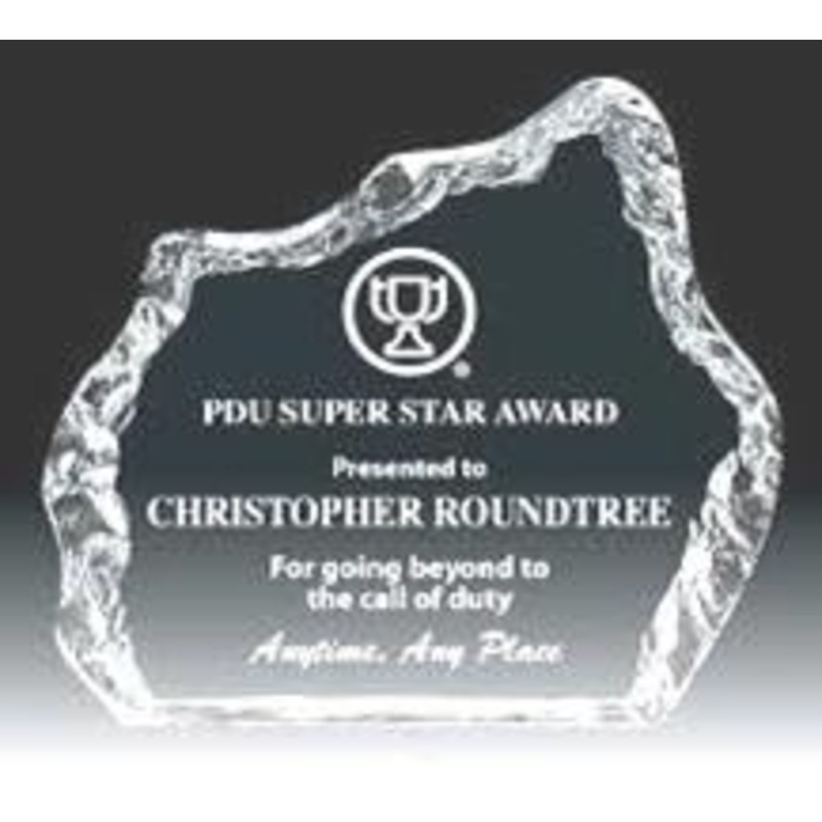 Iceberg Acrylic Award