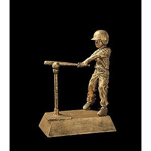T-Ball Female Signature Series Award