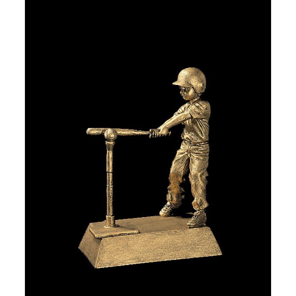 T-Ball Male Signature Series Award