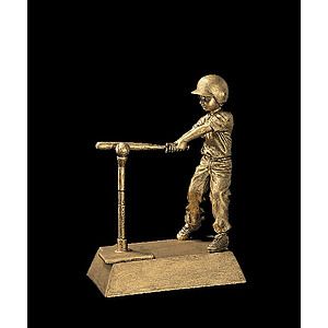 T-Ball Male Signature Series Award