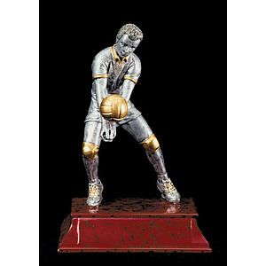 Volleyball Male Elite Series Figure Award