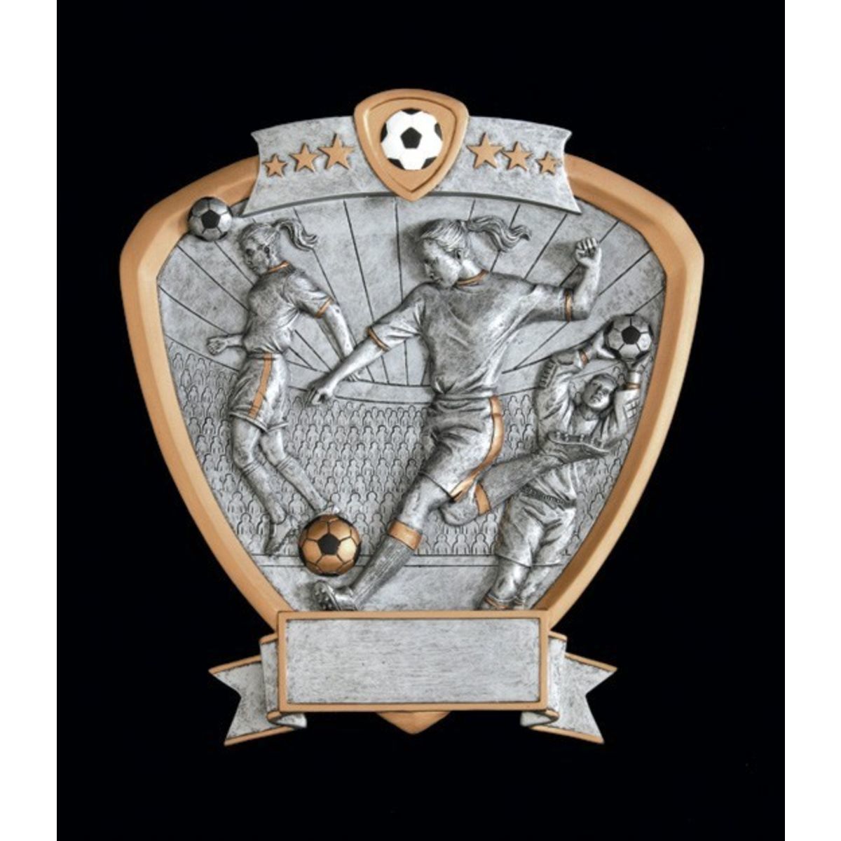 Soccer Female Signature Shield Series Award