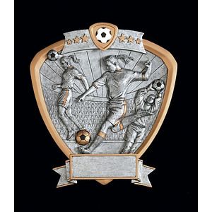 Soccer Female Signature Shield Series Award