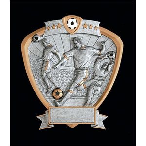 Male Soccer Signature Shield Series Award