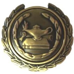 Lamp of Knowledge Award Lapel Pin- 1 3/8"