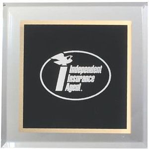 Solid Black Acrylic Paperweight