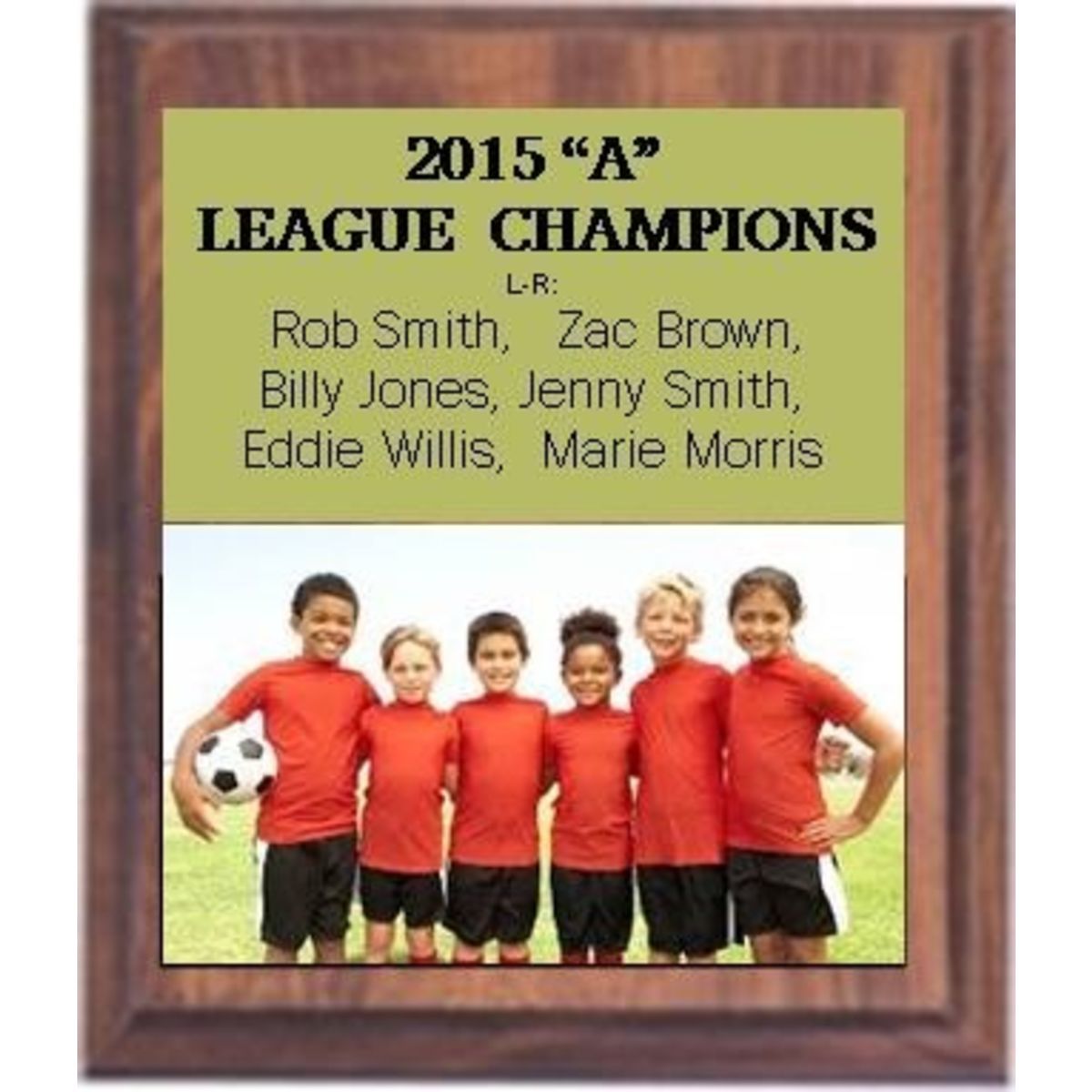 6" x 8" Cherry Finish Plaque with a Full Color Metal Plate