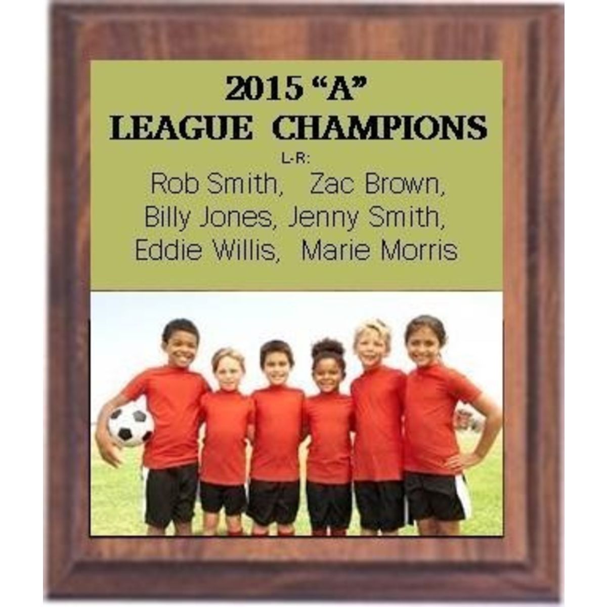 8" x 10" Cherry Finish Plaque with a Full Color Metal Plate