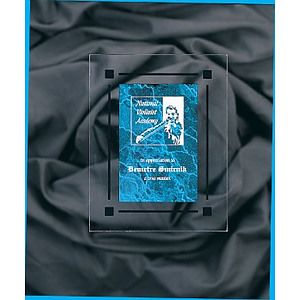 9" x 11" Blue Marble Acrylic Clear-Plaq Award
