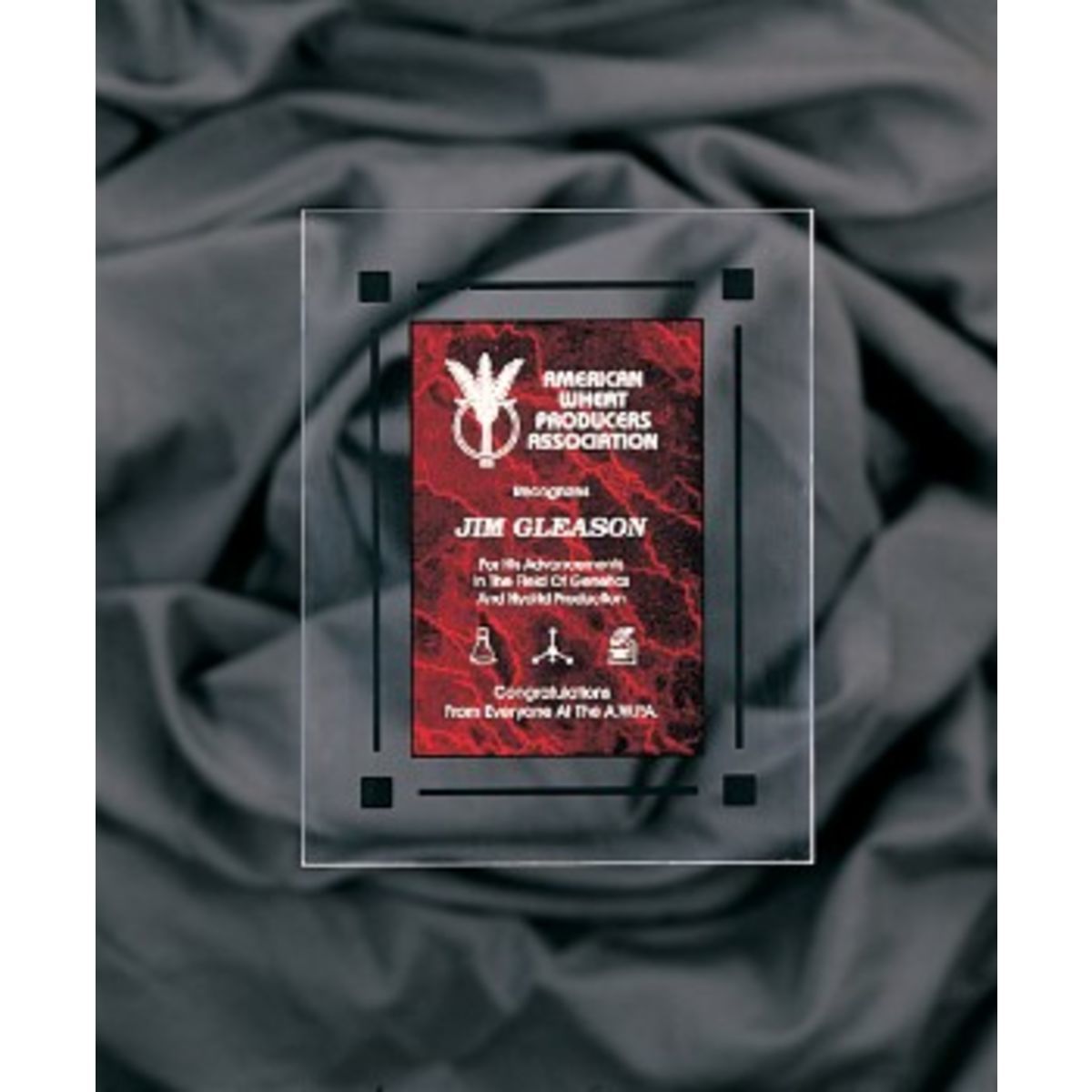 9" x 11" Red Marble Acrylic Clear-Plaq Award