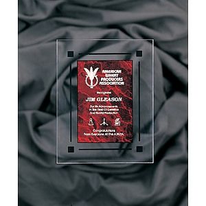 9" x 11" Red Marble Acrylic Clear-Plaq Award