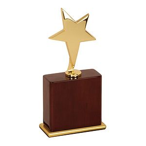 7-1/2" Gold Polished Star Award