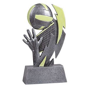 Glow in the Dark Volleyball Award