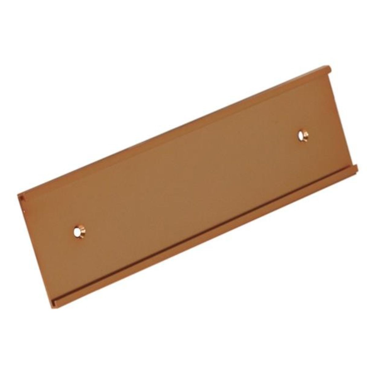 2" x 10" Gold or Silver Wall Name Insert Holder