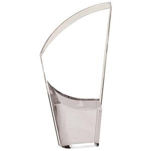 8 1/2" Mirror Lunar Acrylic Award