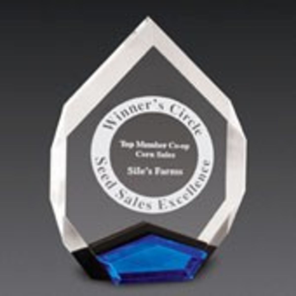 7" x 9" Blue Marquis Acrylic Award