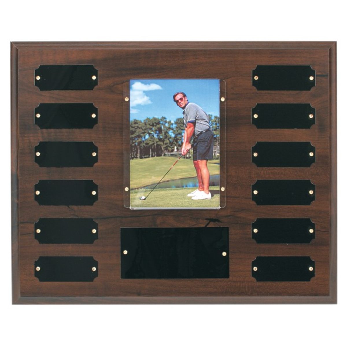 12 Plate Cherry Finish Perpetual Photo Plaques