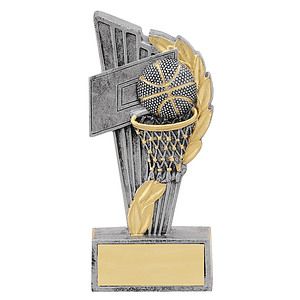 Basketball Theme Award