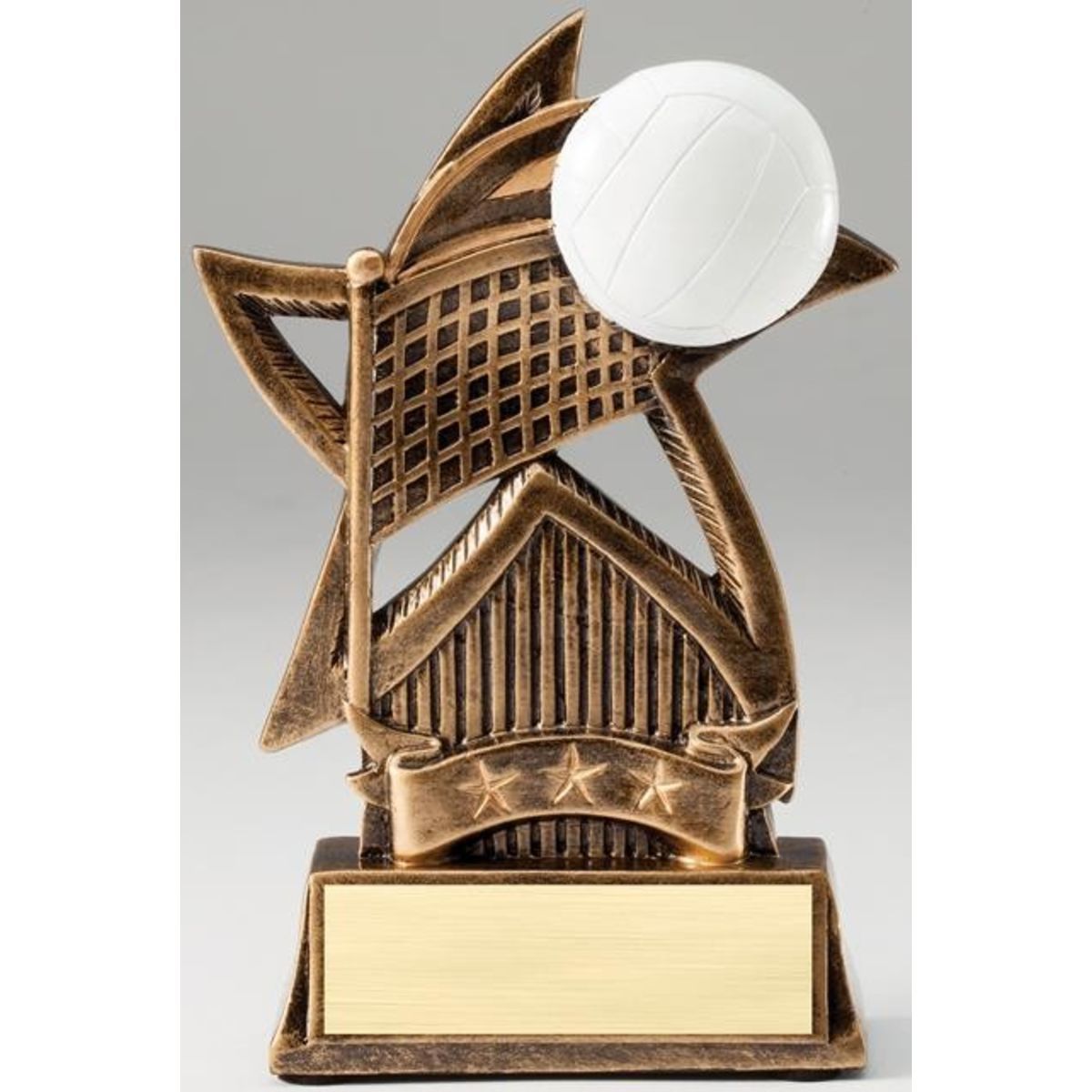Volleyball Star Series Award