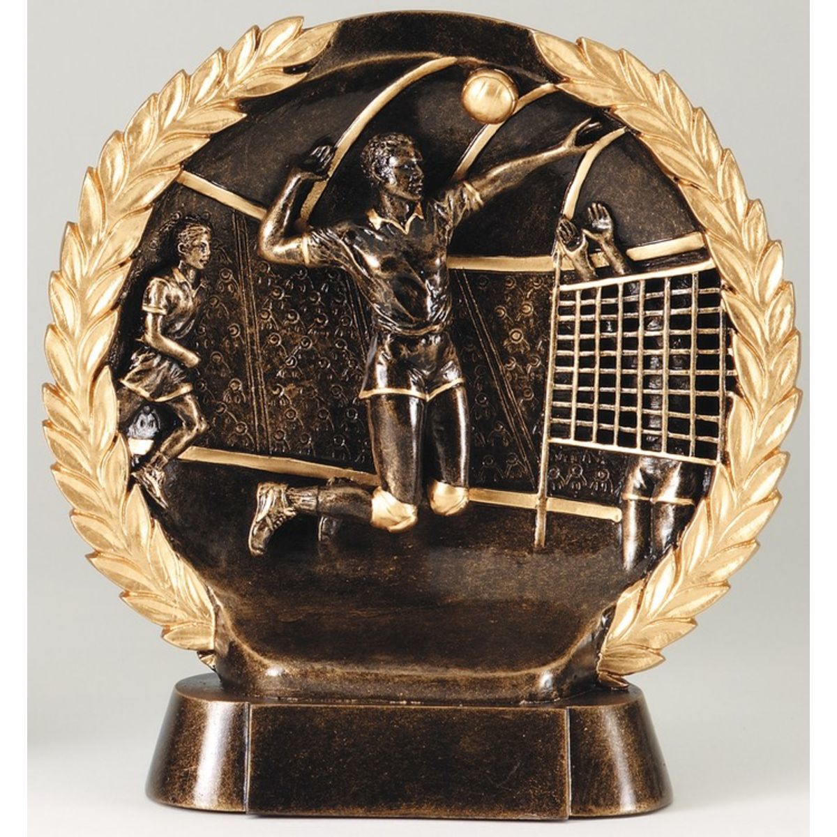 Volleyball Male High Relief Circular Plate Award