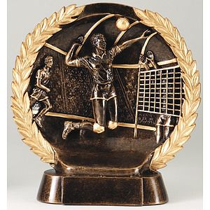 Volleyball Male High Relief Circular Plate Award