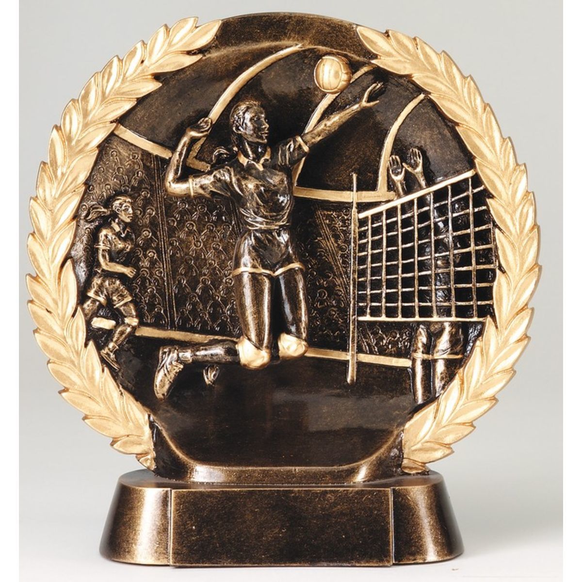 Volleyball Female High Relief Circular Plate Award