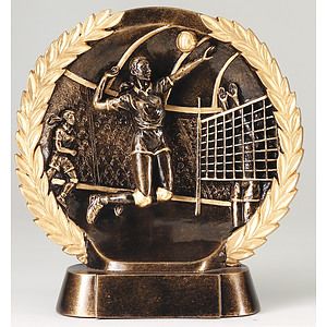 Volleyball Female High Relief Circular Plate Award