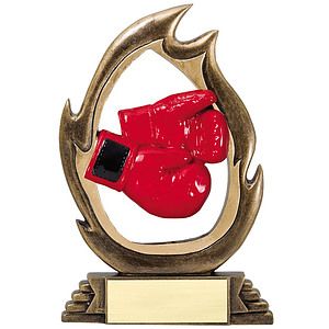 7 1/4" Tall Boxing Flame Series Award
