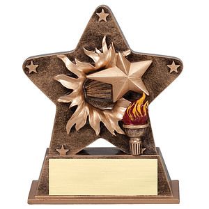 Victory Starburst Award