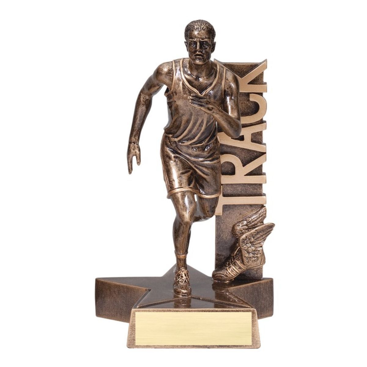 6 1/2" Tall Track Male Billboard Resin Award