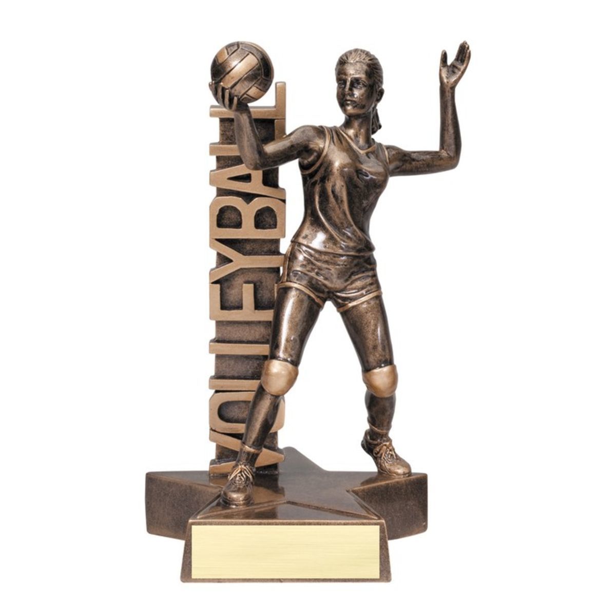 6 1/2" Tall Volleyball Female Billboard Resin Award