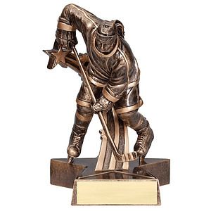 6 1/2" Tall Hockey Female Superstar Resin Award