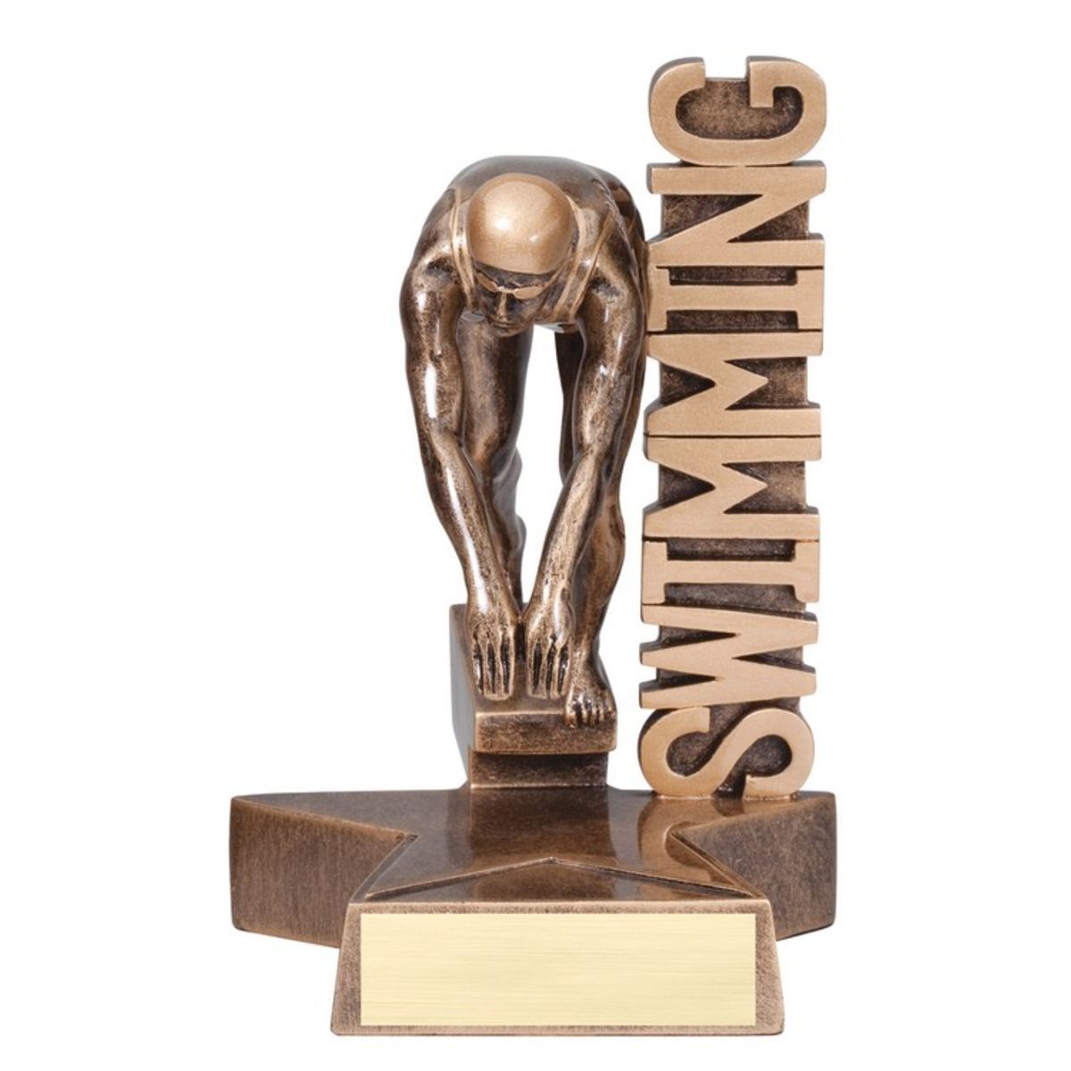 8 1/2" Tall Swimming Female Billboard Resin Award