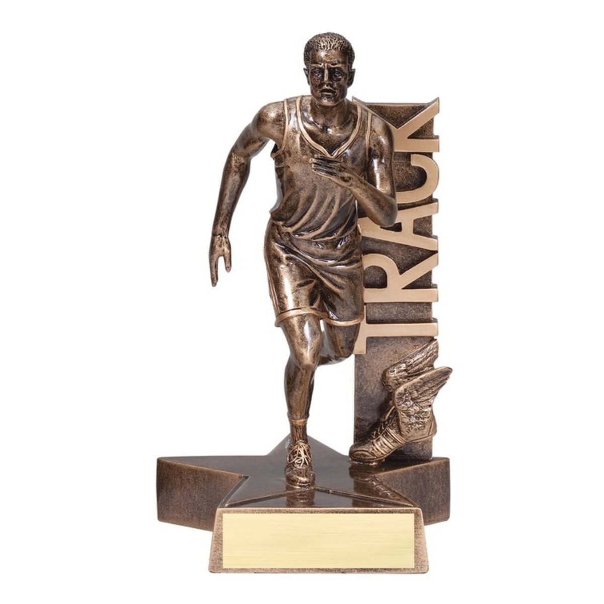8 1/2" Tall Track Male Billboard Resin Award