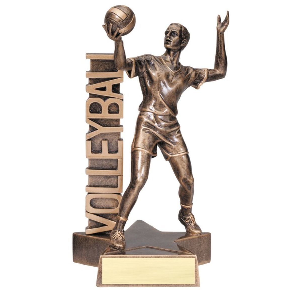 8 1/2" Tall Volleyball Male Billboard Resin Award