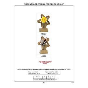 6" Track Star Resin Award