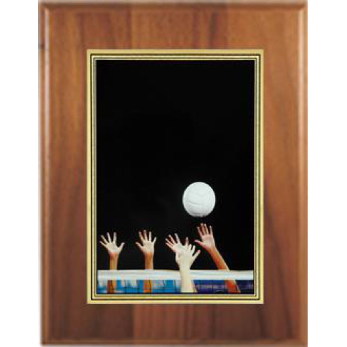 5" x 7" Cherry Finish Plaque with a Volleyball Hi-Definition Plate
