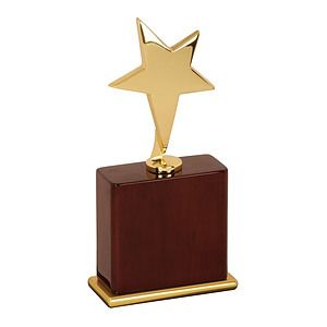 8" Gold Polished Star Award
